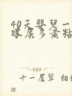 40天婴儿一只眼屎多黄粘稠