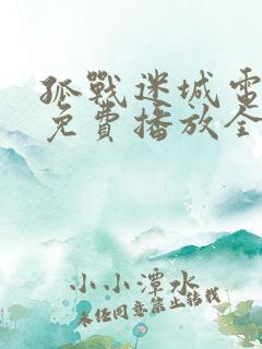 孤战迷城电视剧免费播放全集