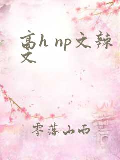 高h np文辣文