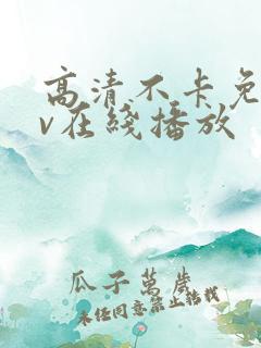 高清不卡免费av在线播放