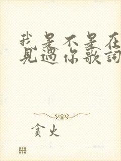 我是不是在哪里见过你歌词