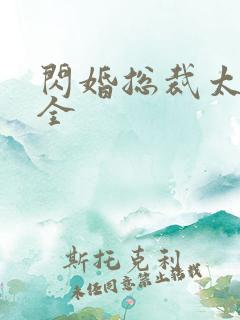 闪婚总裁太霸道全