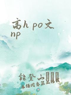 高h po文 np