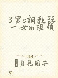 3男s调教玩弄一女m视频