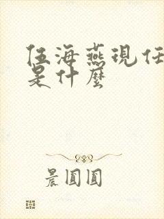 伍海燕现任职务是什么