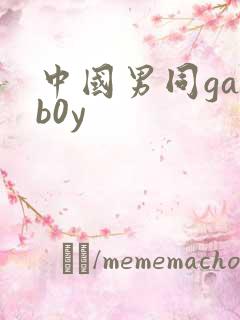 中国男同gayb0y