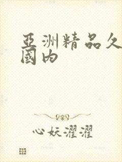 亚洲精品久久久国内