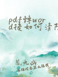 pdf转word后如何清除格式