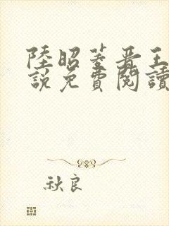 陆昭菱晋王的小说免费阅读