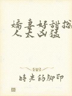 娇妻好甜总裁大人太凶猛