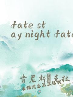 fate stay night fate线