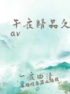 午夜精品久久久av