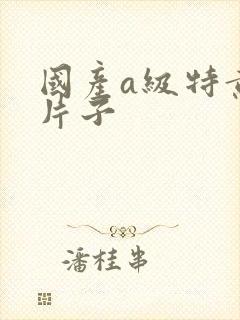 国产a级特黄的片子