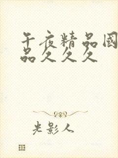 午夜精品国产精品久久久