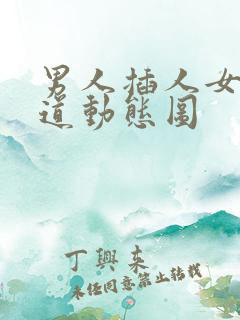 男人插人女人阴道动态图