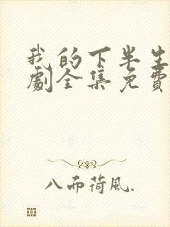 我的下半生电视剧全集免费观看高清