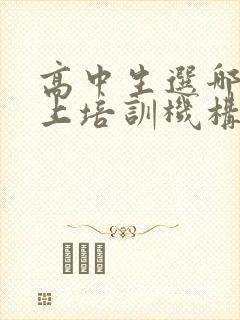 高中生选哪个线上培训机构好