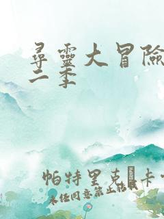 寻灵大冒险 第二季