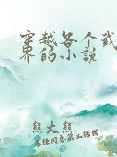 穿越各个武侠世界的小说