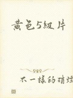黄色5级片