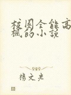校园全能高手季枫的小说