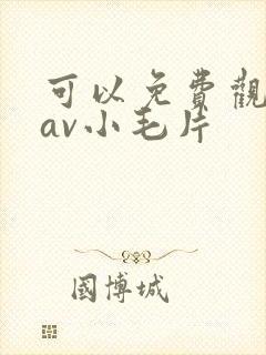 可以免费观看的av小毛片