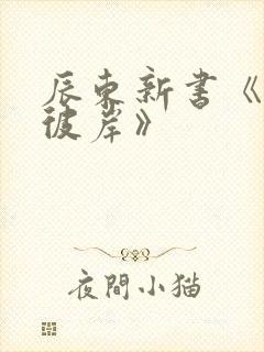 辰东新书《深空彼岸》