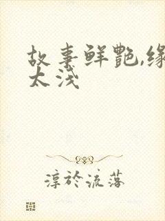 故事鲜艳,缘分太浅