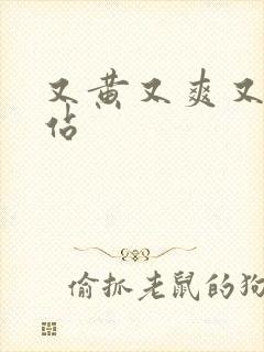 又黄又爽又大网站