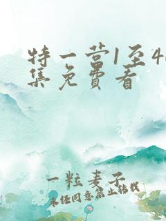 特一营1至40集免费看