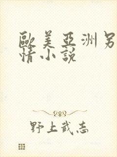 欧美亚洲另类激情小说