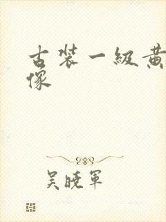 古装一级黄色录像