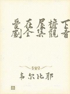 爱在屋檐下电视剧全集观看