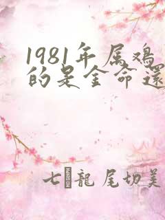 1981年属鸡的是金命还是木命