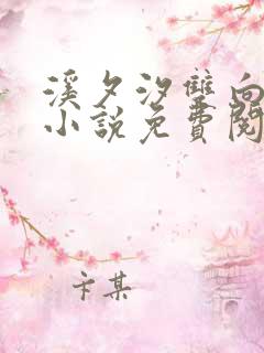 溪夕汐双向迷恋小说免费阅读番外