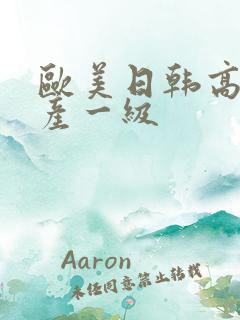 欧美日韩高清国产一级