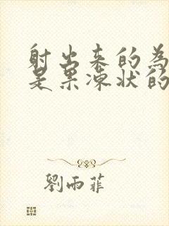 射出来的为什么是果冻状的颗粒