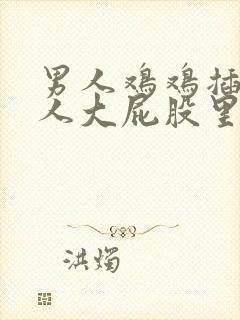 男人鸡鸡插进女人大屁股里