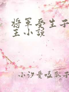 将军受生子双男主小说