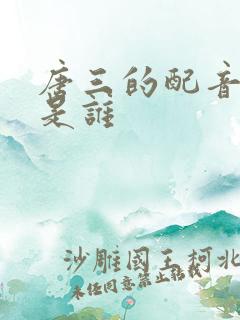 唐三的配音演员是谁