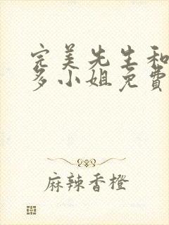 完美先生和差不多小姐免费观看全集