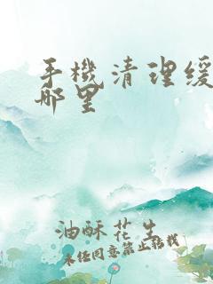 手机清理缓存在哪里