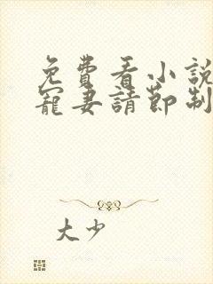 免费看小说厉少宠妻请节制