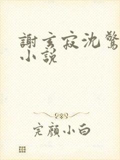 谢玄寂沈惊澜的小说