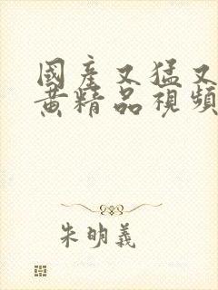 国产又猛又爽又黄精品视频