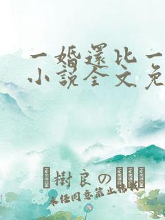 一婚还比一婚高小说全文免费阅读