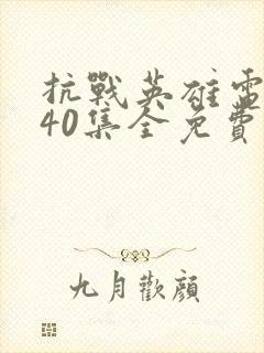 抗战英雄电视剧40集全免费看