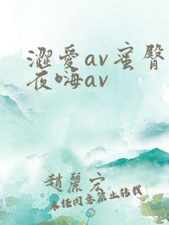 涩爱av蜜臀夜夜嗨av