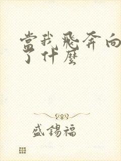 当我飞奔向你讲了什么