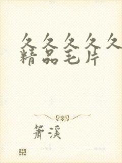 久久久久久国产精品毛片